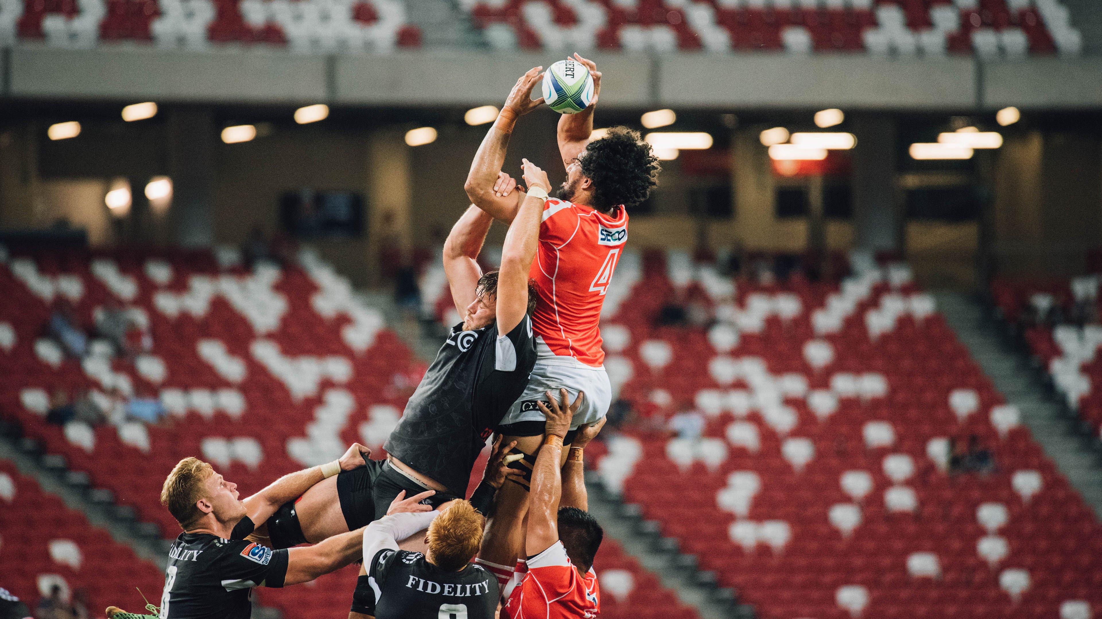 开云体育下载-“菁英出战”——新手逐渐崭露头角的动人故事